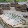 PALM LEAVES SHEETS