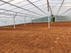 COCOPEAT - COCOPEAT BLOCK