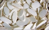 TAPIOCA CHIPS FOR HUMAN FOOD