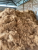 COCONUT FIBER - COIR FIBER