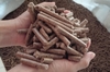 SUGARCANE BAGASSE PELLETS