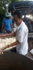SOYBEAN MEAL FOR ANIMAL FEED