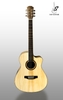 ĐÀN GUITAR ACOUSTIC CUSTOM A30