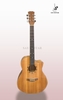 GUITAR ACOUSTIC CUSTOM A250T