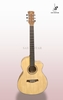 GUITAR ACOUSTIC COSTUM A250C