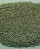 robusta-washed