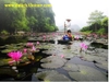 TOUR HẢI PHÒNG - ĐỀN ĐỨC THÁNH CẢ -  CHÙA HƯƠNG - CHÙA BÁI ĐÍNH