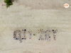 LG Display Team Building Hạ Long 2026 PQ1 20/04 - ALO TOUR