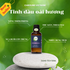 Tinh dầu Oải Hương Caroline - Lavender