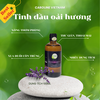 Tinh dầu Oải Hương Caroline - Lavender