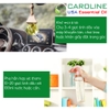 tinh dầu ngọc lan tây Caroline thơm bốc và được ưa chuộng