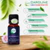 tinh dầu nước hoa Caroline
