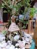 Chai treo tinh dầu toả hương thơm