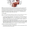 Sách Miniinvasive Face and Body Lifts Closed Suture Lifts or Barbed Thread Lifts