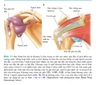 SIÊU ÂM CAN THIỆP QUẢN LÝ ĐAU