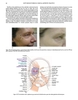 Sách Botulinum Toxins in Clinical Aesthetic Practice ( Botulinum Toxins trong thực hành thẩm mỹ lâm sàng )