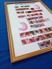 Tranh tráng gương quy trình nội soi dạ dày(kích thước 50cm.75cm) khung vàng
