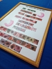 Tranh tráng gương quy trình nội soi dạ dày(kích thước 50cm.75cm) khung vàng