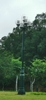 cot-den-dc05b
