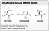 Vai trò của acid amin phân nhánh (BCAA) trong điều trị xơ gan