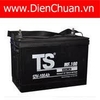 Ắc quy khô Tia Sáng MF-100 (12V-100Ah)