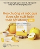 Chiết xuất rễ hoa chuông, lê, mộc hoa và ngưu bàng giúp bổ phổi, thanh quản, mát họng, dứt ho, trừ đàm đặc biệt phù hợp cho người quan tâm chất giọng:  giáo viên, ca sĩ (20g x 30 gói) - atomy bellflower root, pear  & quince compact juice - 애터미 도라지, 배, 모과 컴팩트 주스 p - Компактный сок Atomy Bellflower, груша, айва