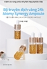 Set 4 lọ tế bào gốc chứ Tinh chất vàng 24K nâng cơ, và làm trắng - Atomy Syneru Ampoule 24K Gold Infusion Set - 애터미 시너지 앰플 24케이 골드 인퓨젼 세트 - Atomy Syneru Ampoule 24K Gold Инфузионный набор (10g x 4 lọ)