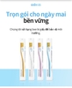 Bàn chải đánh răng người lớn với sợi siêu mềm mịn và bền bỉ, được phủ lớp bụi vàng ngăn ngừa vi khuẩn bám trên lông bàn chải (8 cây) - Atomy's Toothbrush  - 애터미 칫솔 - Атоми Зубные Щетки 8 шт