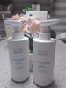 Dầu gội nhân sâm chuyên ngăn ngừa rụng tóc và phục hồi chân tóc - Atomy Absolute Hair Shampoo 500 ml - 애터미 앱솔루트 샴푸 - Атоми Абсолют Шампунь
