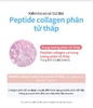 Collagen chiết xuất từ cá có trọng lượng phân tử thấp 512Da rất dễ hấp thu giúp đẹp da   Sản phẩm uống đẹp da, ngăn ngừa lão hoá da (25ml x 14 ống) - Atomy Inner Collagen - 애터미 이너콜라겐 - Атоми Внутренний Коллаген