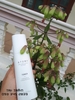 Nước dưỡng hoa hồng cân bằng và bảo vệ da (set dưỡng da NHAN SẮC KHÔNG PHAI) - Atomy Skin Care System The Fame Toner