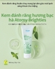 Kem đánh răng chuyên làm trắng răng, ngừa tạo vôi răng từ nguyên liệu thuần chay cùng hương bạc hà siêu mát lạnh - Atomy Brighteeth Mint Toothpaste 150g  -애터미 브라이티스 민트향 치약 150g - Атоми Освежающая паста с мятой