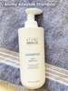 Dầu gội nhân sâm chuyên ngăn ngừa rụng tóc và phục hồi chân tóc - Atomy Absolute Hair Shampoo 500 ml - 애터미 앱솔루트 샴푸 - Атоми Абсолют Шампунь