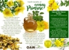Tinh dầu hoa anh thảo – Natural Plus Gamma Linolenic Acid Evening Primrose Oil Capsule 240mg