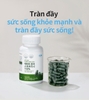 Tảo xoắn Spirulina 100%, chứa hàm lượng diệp lục cao, chất chống oxy hoá bảo vệ tế bào cực cao,  cùng nhiều khoáng chất thiết yếu bồi bổ sức khoẻ và làm đẹp da (400mg x 120 viên) - Atomy Pure Spirulina 100% - 애터미 순수 스피루리나 100% - Атоми Спирулина