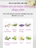 Dung dịch vệ sinh phụ khoa đậm đặc chiết xuất 8 loại thảo mộc tươi giúp khử mùi sạch sẽ và khô thoáng cho vùng da nhạy cảm suốt ngày dài 200ml - Atomy body Care Aidam Cleanser  - 애터미 애담클렌저 - Атоми Очищение Эйдэм