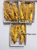 Nhân sâm tươi - Loại 5 cũ đẹp thân dài đẹp (1 Kg)