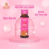 Nước đông trùng hạ thảo Hector Collagen - Hector Collagen cordyceps