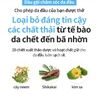 Dầu gội đặc biệt chuyên trị gàu lâu năm chứa chiết xuất 28 loại thảo mộc mát lạnh da đầu 500ml -  Atomy Scalp Care Hair Shampoo 500ml - 애터미 스칼프 샴푸 - Атоми Скалпкеар Шампунь