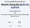 Kem dưỡng trắng da và làm chậm lão hóa da (loại cao cấp trong set 6) - Atomy Absolute Cellactive Nutrition Cream 50 ml - 애터미 앱솔루트 셀랙티브 영양크림 - Атоми Абсолют СеллАктив Питательный крем