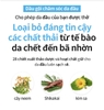 Dầu xả chuyên trị gàu lâu năm chiết xuất thảo dược cân bằng độ ẩm và ngăn gàu xuất hiện trở lại 500ml -  Atomy Scalpcare Hair Conditioner - 애터미 스칼프 컨디셔너 - Атоми Скалпкеар Кондиционер