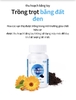 Viên uống sáng mắt chứa Vitamin A, Kẽm và tăng cường hàm lượng Lutein cao giúp cải thiện chức năng mắt nhanh chóng, bền vững ( 500mg x 90 viên - Atomy Eye Lutein - 애터미 아이루테인 ) - Атоми Ай Лютеин