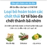 Combo dầu gội và dầu xả chuyên ngăn ngừa và dứt điểm gàu nhanh chóng chiết xuất 26 loại thảo mộc tự nhiên mát lạnh sảng khoái - Atomy Scalpcare 2 set - 애터미 스칼프케어 2종 세트 - Атоми Скалпкеар Набор