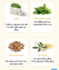 Kem đánh răng sạch khuẩn và ngừa sâu răng vượt trội chiết xuất từ keo ong (50g x 4 tuýp)  -  Atomy Toothpaste 50g - 애터미 치약 플러스 50g - Атоми Зубная Паста Набор 4 шт