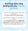 Men vi sinh chứa 3 tỷ vi khuẩn probiotics ở dạng men sống đem lại hiệu quả vượt trội và toàn diện cho hệ tiêu hoá cải thiện tiêu hóa (4 hộp x 30 gói/hộp) - ATOMY PROBIOTICS 10+  - Atomy-probiotics-10-plus - 애터미-프로바이오틱스-10-플러스- - Атоми Пробиотик 10+
