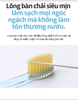 Bàn chải đánh răng người lớn với sợi siêu mềm mịn và bền bỉ, được phủ lớp bụi vàng ngăn ngừa vi khuẩn bám trên lông bàn chải (8 cây) - Atomy's Toothbrush  - 애터미 칫솔 - Атоми Зубные Щетки 8 шт