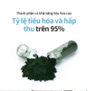 Tảo xoắn Spirulina 100%, chứa hàm lượng diệp lục cao, chất chống oxy hoá bảo vệ tế bào cực cao,  cùng nhiều khoáng chất thiết yếu bồi bổ sức khoẻ và làm đẹp da (400mg x 120 viên) - Atomy Pure Spirulina 100% - 애터미 순수 스피루리나 100% - Атоми Спирулина