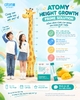 Giải pháp dinh dưỡng khoa học tăng trưởng chiều cao vượt trội cho trẻ em đang lớn 15g x 30 gói - Atomy Height Growth Prime Solution 애터미 키성장 프라임 솔루션 - Atomy — Прайм-комплекс для поддержки роста детей
