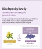 Viên uống tinh dầu hoa lưu ly cho các chị em rối loạn tiền kinh nguyệt, thiếu hụt nội tiết tố nữ, làm đẹp da và bảo vệ tế bào - (620mg x 60 viên) - Atomy Borage Oil - 애터미 그날엔 보라지유 - Атоми Бораго Ты в тот день