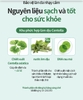 Gel rửa mặt làm dịu tức thì làn da nhạy cảm, đang bị kích ứng chiết xuất rau má 150ml - Atomy Derma Real Cica Gel Cleanser - 애터미 더마 리얼 시카 젤클렌저 - Атоми Центелла Гель для умывания